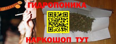 молекула духа Шахты